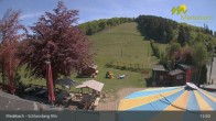 Archiv Foto Webcam Medebach: Schlossberg Alm 12:00