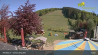 Archiv Foto Webcam Medebach: Schlossberg Alm 14:00