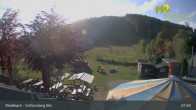 Archived image Webcam Medebach: View Schlossberg Alm 07:00