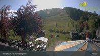 Archived image Webcam Medebach: View Schlossberg Alm 08:00