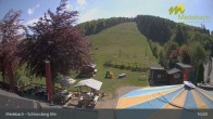 Archived image Webcam Medebach: View Schlossberg Alm 10:00