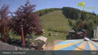 Archived image Webcam Medebach: View Schlossberg Alm 12:00
