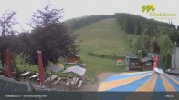 Archiv Foto Webcam Medebach: Schlossberg Alm 06:00