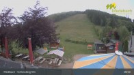 Archiv Foto Webcam Medebach: Schlossberg Alm 08:00