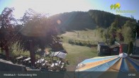Archived image Webcam Medebach: View Schlossberg Alm 07:00