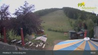 Archived image Webcam Medebach: View Schlossberg Alm 08:00