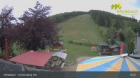 Archived image Webcam Medebach: View Schlossberg Alm 12:00