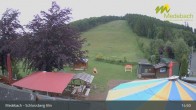Archiv Foto Webcam Medebach: Schlossberg Alm 14:00