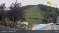 Archiv Foto Webcam Medebach: Schlossberg Alm 10:00