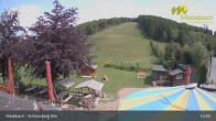 Archiv Foto Webcam Medebach: Schlossberg Alm 14:00