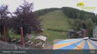 Archiv Foto Webcam Medebach: Schlossberg Alm 12:00