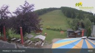 Archiv Foto Webcam Medebach: Schlossberg Alm 08:00