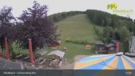 Archiv Foto Webcam Medebach: Schlossberg Alm 14:00