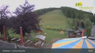 Archived image Webcam Medebach: View Schlossberg Alm 10:00