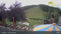 Archived image Webcam Medebach: View Schlossberg Alm 08:00