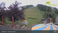 Archiv Foto Webcam Medebach: Schlossberg Alm 00:00