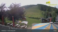 Archiv Foto Webcam Medebach: Schlossberg Alm 07:00