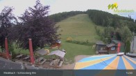 Archiv Foto Webcam Medebach: Schlossberg Alm 14:00
