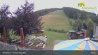 Archiv Foto Webcam Medebach: Schlossberg Alm 10:00
