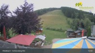 Archiv Foto Webcam Medebach: Schlossberg Alm 12:00