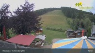 Archiv Foto Webcam Medebach: Schlossberg Alm 14:00