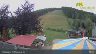Archiv Foto Webcam Medebach: Schlossberg Alm 16:00