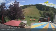 Archiv Foto Webcam Medebach: Schlossberg Alm 12:00