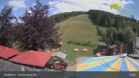 Archiv Foto Webcam Medebach: Schlossberg Alm 14:00
