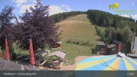 Archiv Foto Webcam Medebach: Schlossberg Alm 14:00