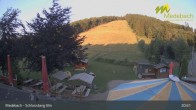Archiv Foto Webcam Medebach: Schlossberg Alm 02:00