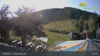 Archiv Foto Webcam Medebach: Schlossberg Alm 07:00