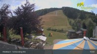 Archiv Foto Webcam Medebach: Schlossberg Alm 10:00
