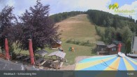 Archiv Foto Webcam Medebach: Schlossberg Alm 14:00