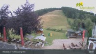 Archiv Foto Webcam Medebach: Schlossberg Alm 10:00