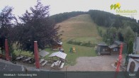 Archiv Foto Webcam Medebach: Schlossberg Alm 10:00
