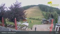 Archiv Foto Webcam Medebach: Schlossberg Alm 12:00
