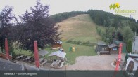 Archiv Foto Webcam Medebach: Schlossberg Alm 14:00