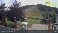 Archiv Foto Webcam Medebach: Schlossberg Alm 10:00