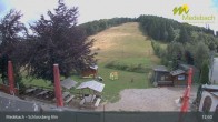 Archiv Foto Webcam Medebach: Schlossberg Alm 12:00