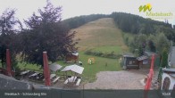 Archiv Foto Webcam Medebach: Schlossberg Alm 10:00