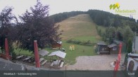 Archiv Foto Webcam Medebach: Schlossberg Alm 12:00