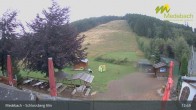 Archiv Foto Webcam Medebach: Schlossberg Alm 12:00