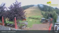 Archiv Foto Webcam Medebach: Schlossberg Alm 14:00