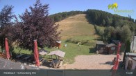 Archiv Foto Webcam Medebach: Schlossberg Alm 14:00