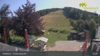 Archiv Foto Webcam Medebach: Schlossberg Alm 12:00