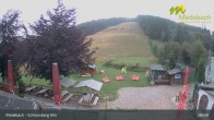 Archiv Foto Webcam Medebach: Schlossberg Alm 08:00