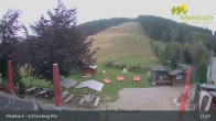 Archiv Foto Webcam Medebach: Schlossberg Alm 12:00