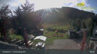 Archiv Foto Webcam Medebach: Schlossberg Alm 08:00