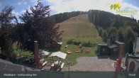 Archiv Foto Webcam Medebach: Schlossberg Alm 10:00