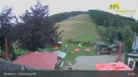 Archiv Foto Webcam Medebach: Schlossberg Alm 14:00